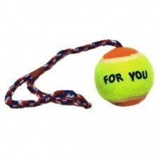 Tenisový míček na laně